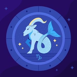 Meet your Posher, Lamelo